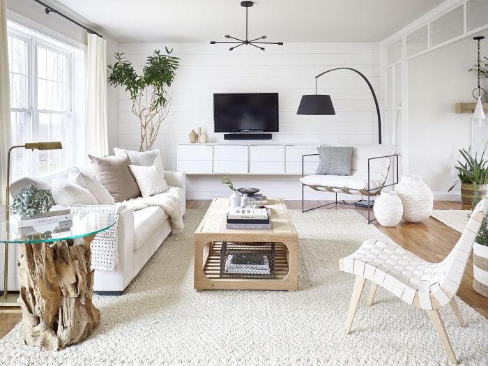 White living room decor ideas