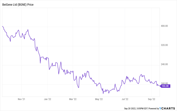 Begi stock price