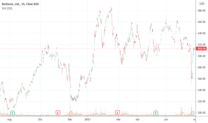 Bgne stock price